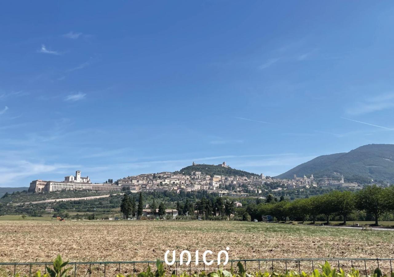 Bed and breakfast Unica Assisi Agri-Charming House Extérieur photo